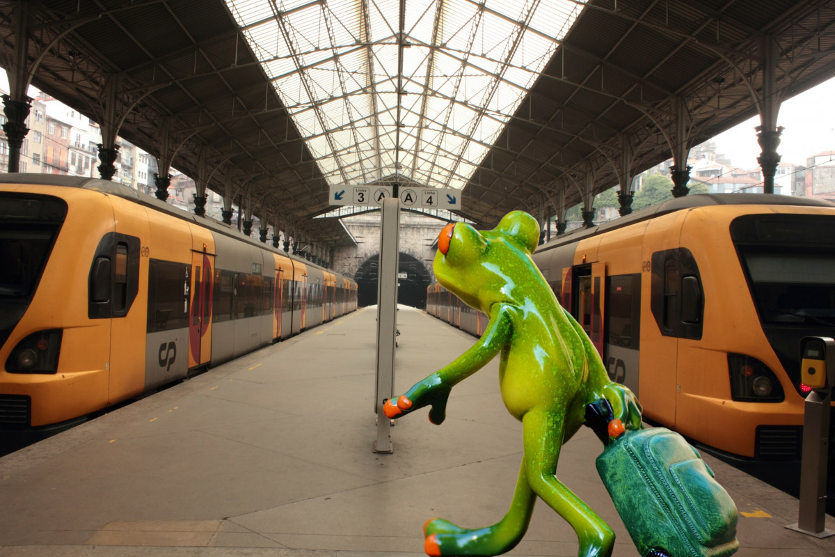 frog_farewell_travel_funny_railway_station_fun_go_away_on_the_go-833261-3797686565.jpg