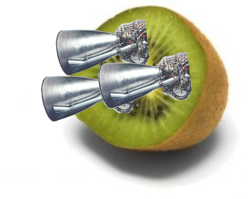 rocket kiwi.png